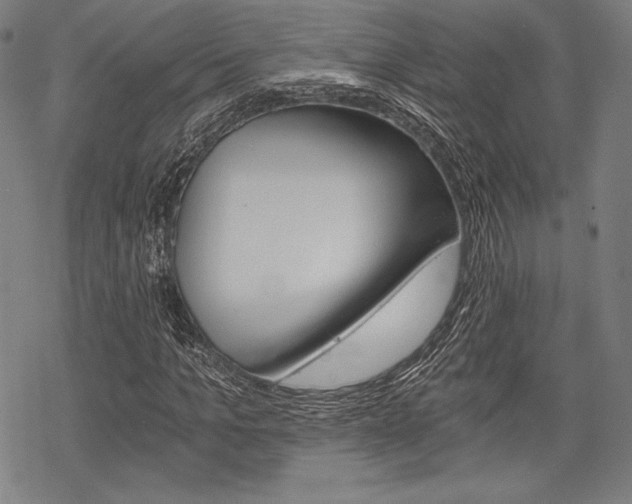 X0000068830965200605050914