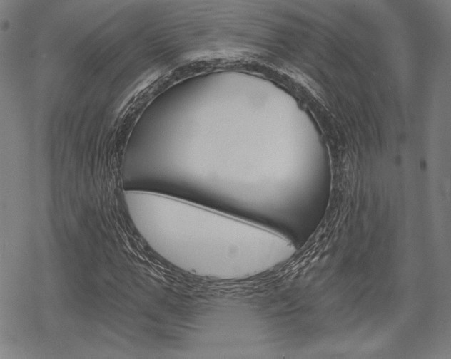 X0000068830967200605050914