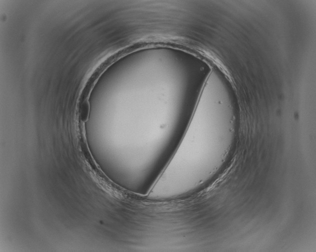 X0000068830976200605050914