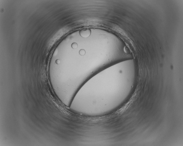 X0000068830978200605050914