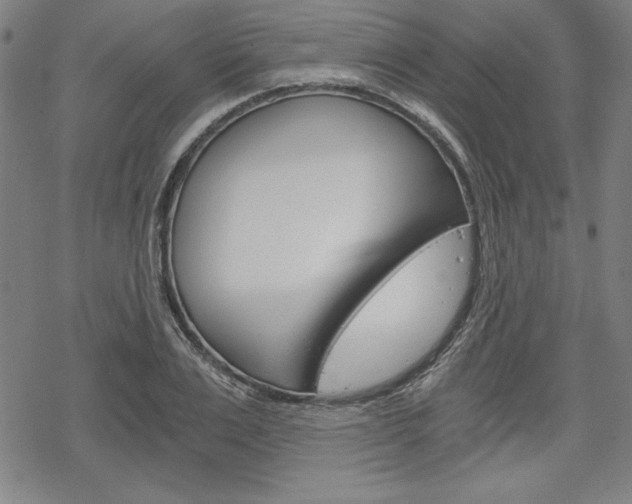 X0000068830983200605050913