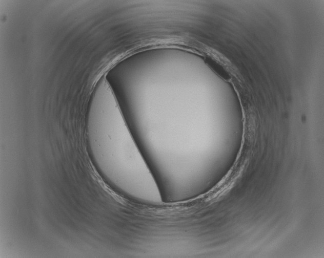 X0000068830985200605050913