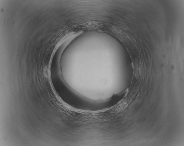 X0000068831010200605050912