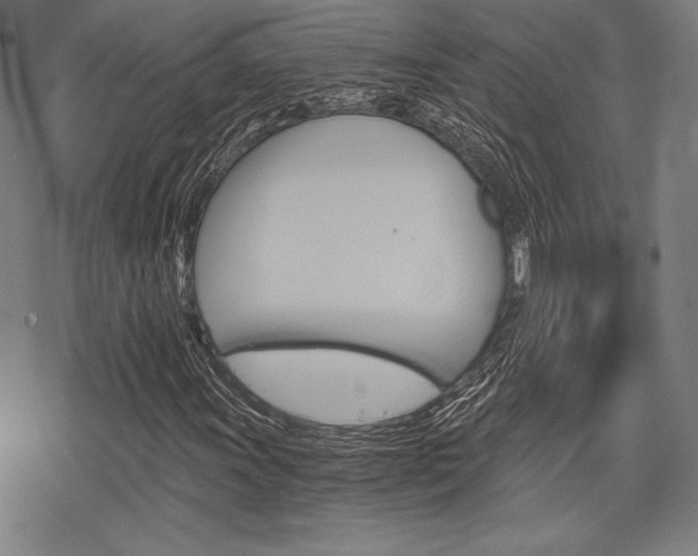 X0000068831011200605050912