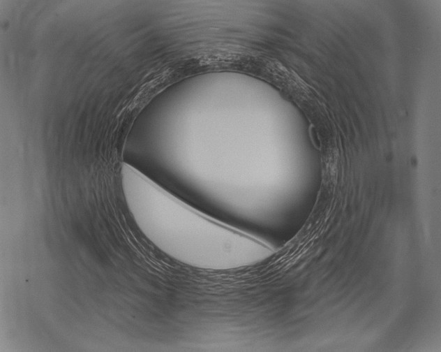 X0000068831012200605050912
