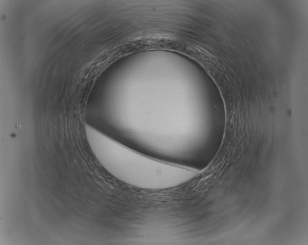 X0000068831014200605050912