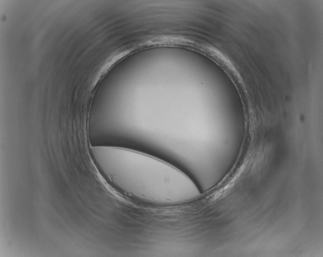 X0000068831041200605050913