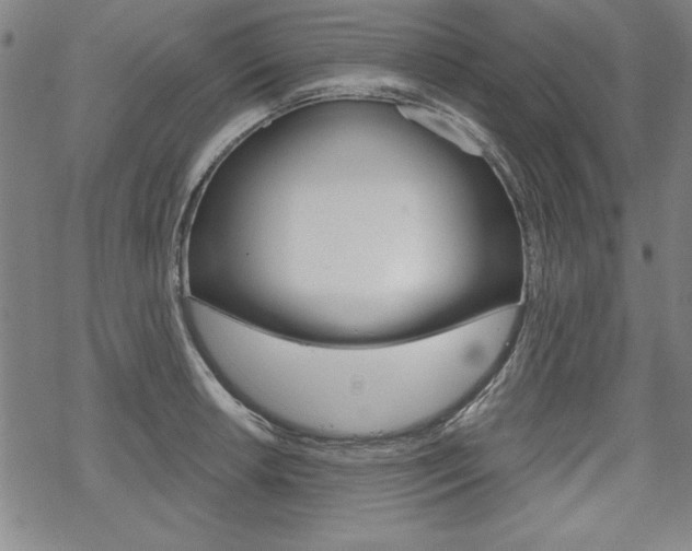 X0000068831042200605050913