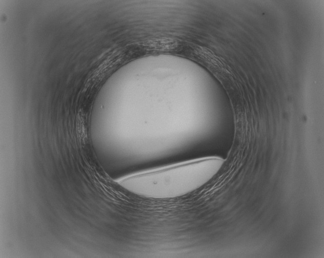 X0000068831058200605050912