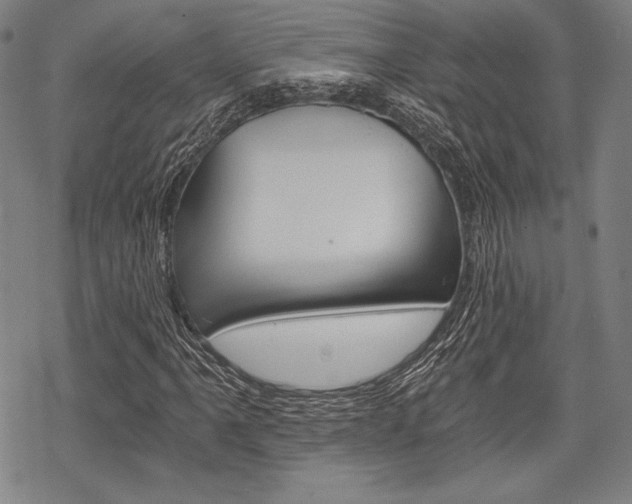 X0000068831061200605050912