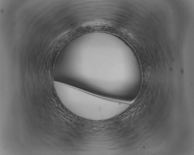 X0000068831062200605050912