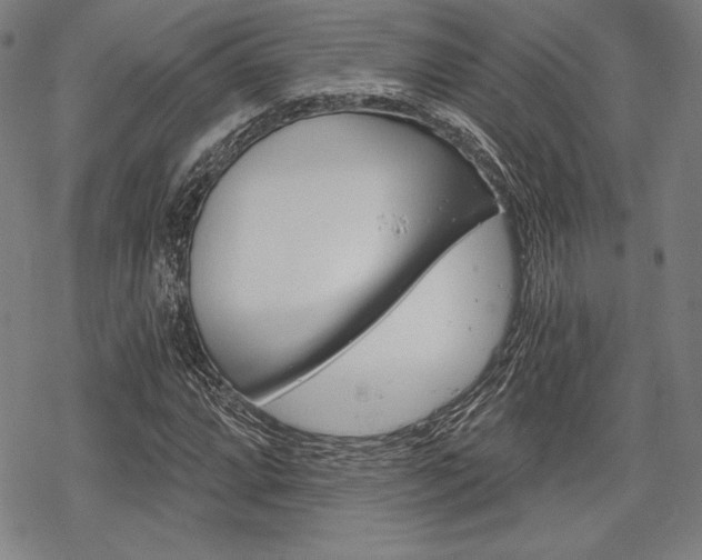 X0000068831064200605050912