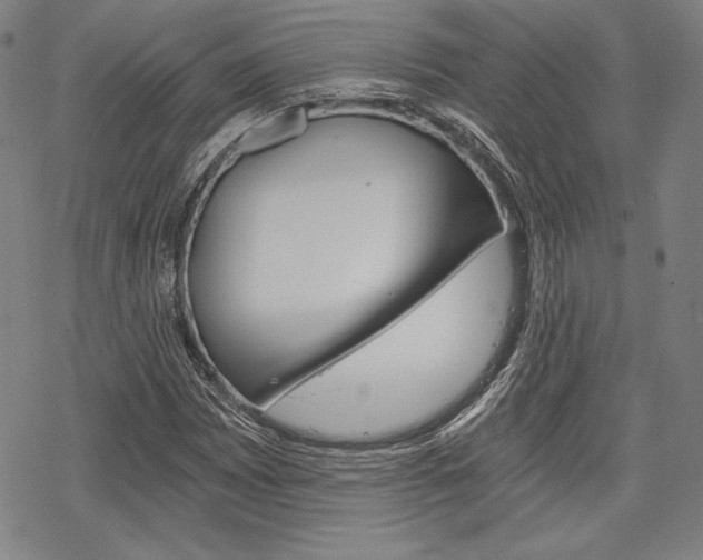 X0000068831065200605050912