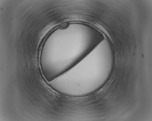 X0000068831068200605050912