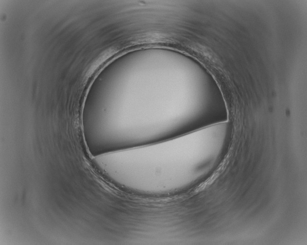 X0000068831073200605050912