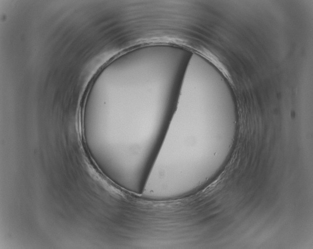 X0000068831084200605050912