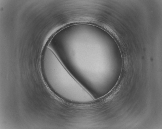 X0000068831085200605050912
