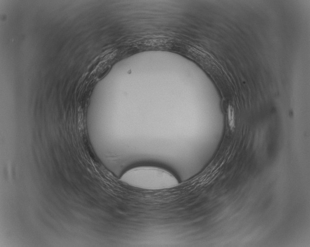 X0000068831107200605050911