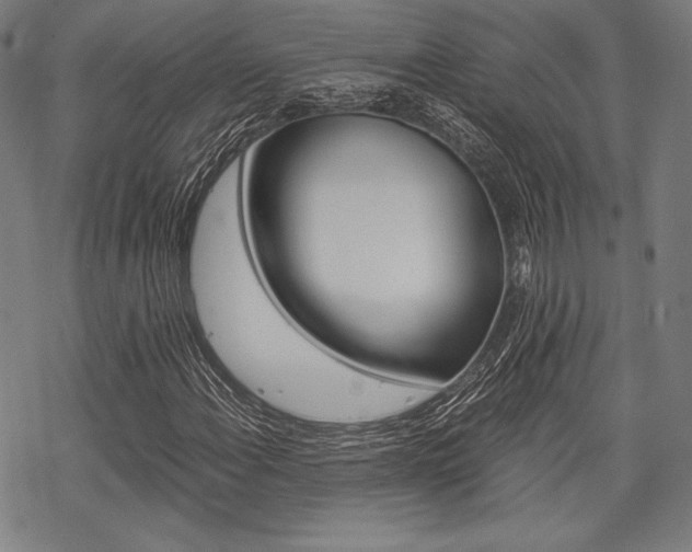X0000068831108200605050911