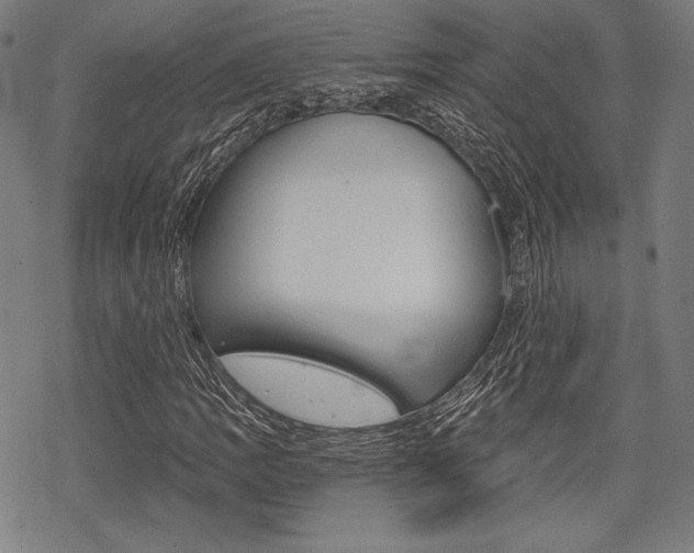 X0000068831109200605050911