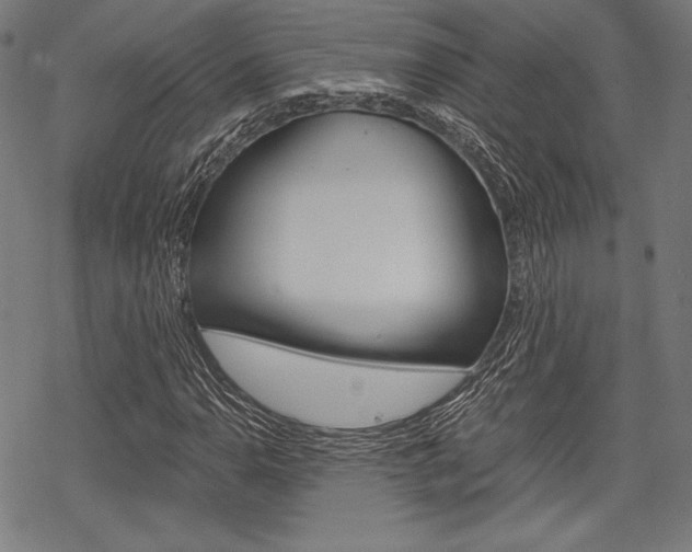 X0000068831110200605050911