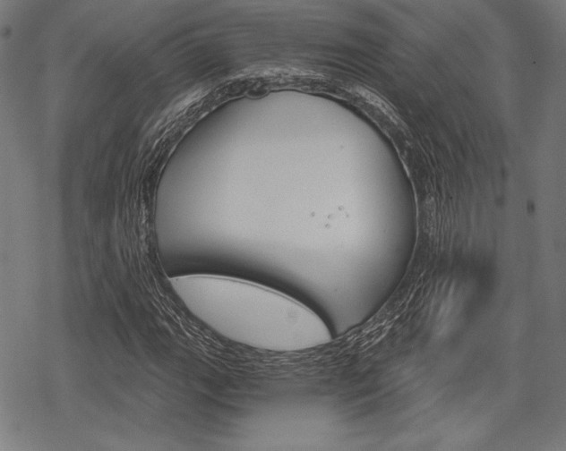 X0000068831111200605050911