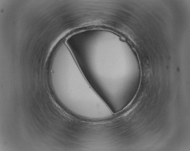 X0000068831118200605050911