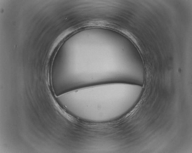 X0000068831131200605050911