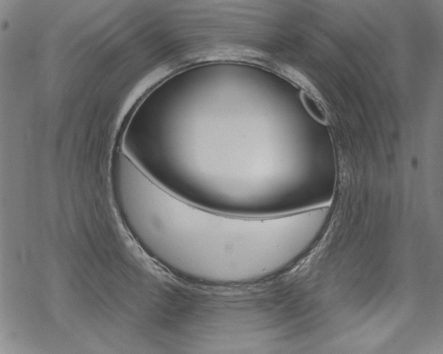 X0000068831138200605050911
