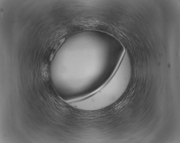 X0000068831156200605050911