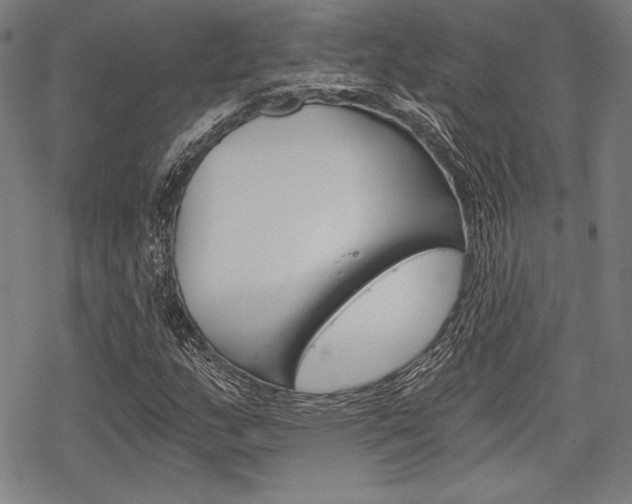 X0000068831159200605050911