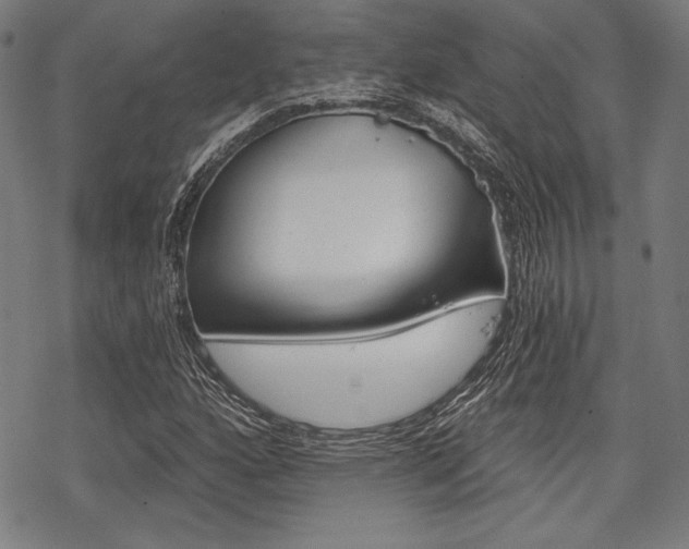 X0000068831160200605050911