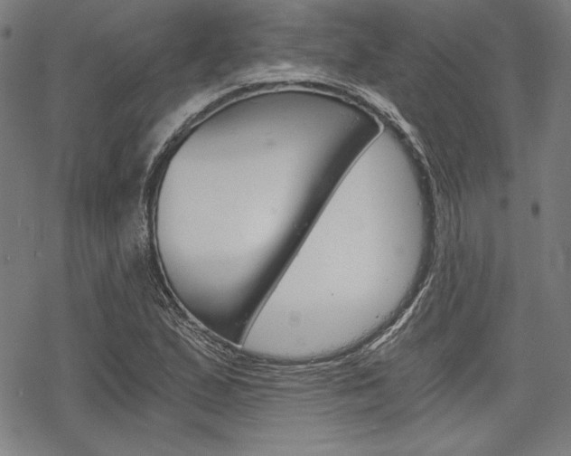 X0000068831167200605050910