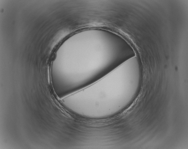 X0000068831171200605050910
