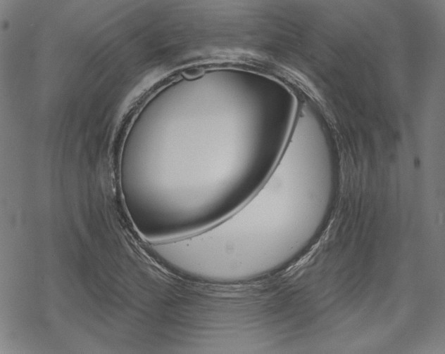 X0000068831172200605050910