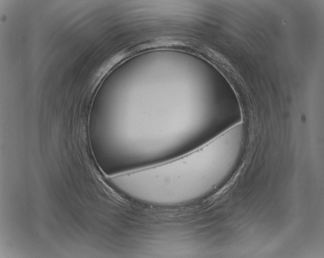 X0000068831177200605050910