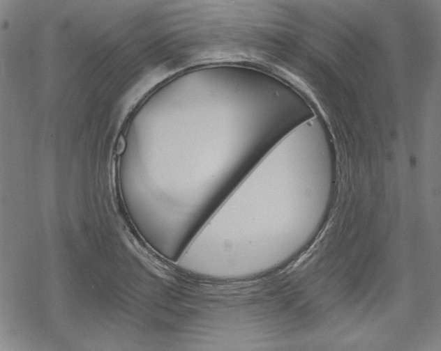 X0000068831179200605050910