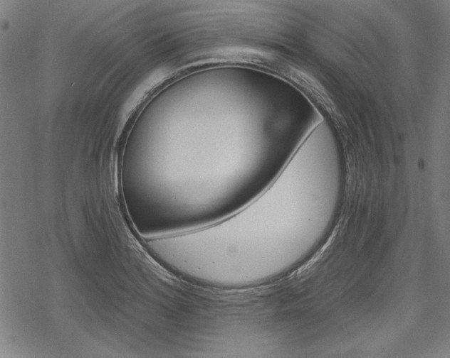 X0000068831180200605050910