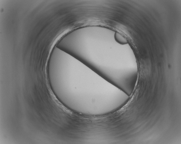 X0000068831190200605050910