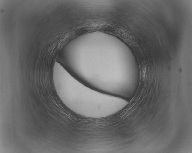 X0000068831204200605050909