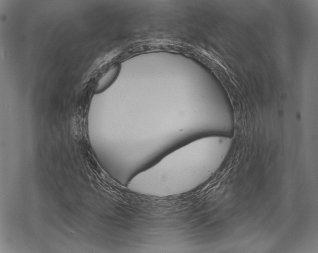 X0000068831207200605050909