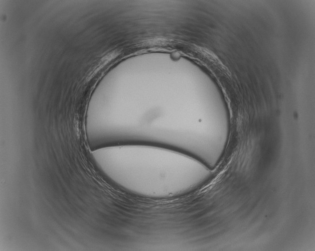 X0000068831209200605050909