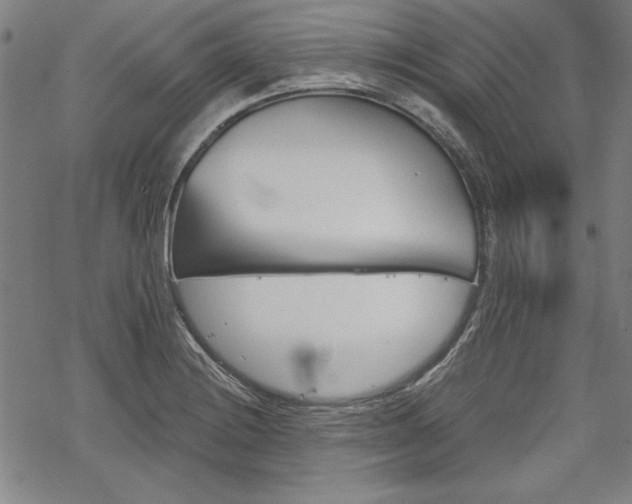 X0000068831228200605050910
