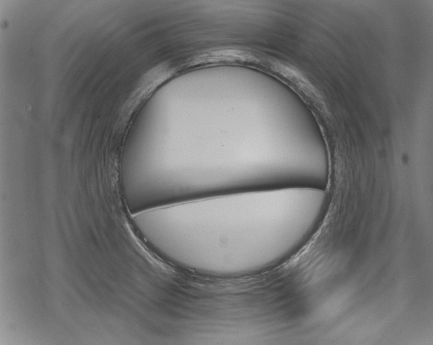 X0000068831233200605050910