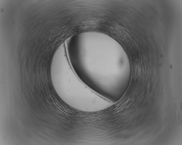 X0000068831250200605050909
