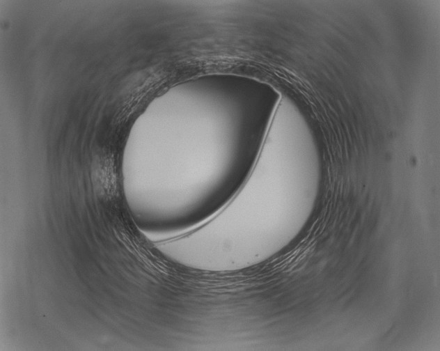 X0000068831252200605050909
