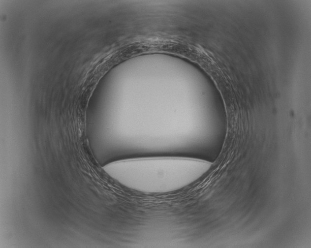 X0000068831253200605050909