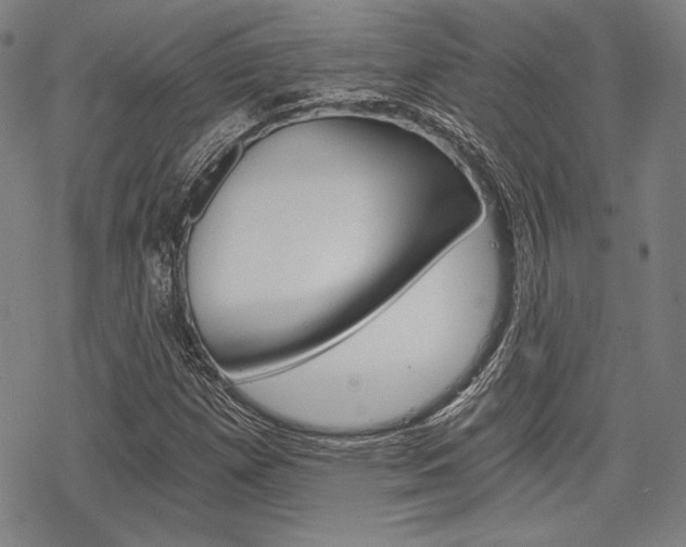 X0000068831257200605050909