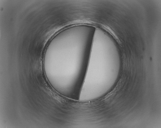 X0000068831268200605050909