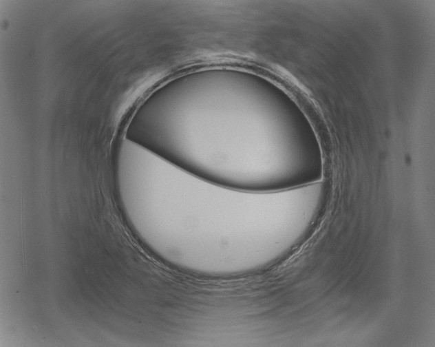 X0000068831269200605050909